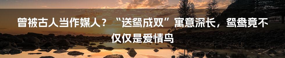 曾被古人当作媒人？“送鸳成双”寓意深长，鸳鸯竟不仅仅是爱情鸟