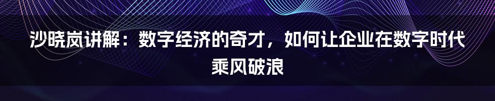 沙晓岚讲解：数字经济的奇才，如何让企业在数字时代乘风破浪