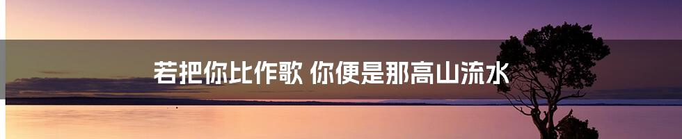 若把你比作歌 你便是那高山流水