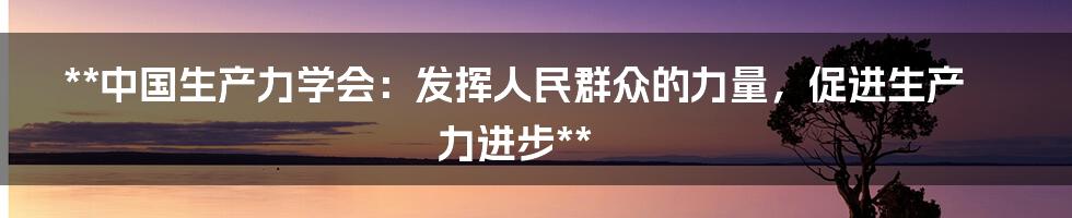 **中国生产力学会：发挥人民群众的力量，促进生产力进步**