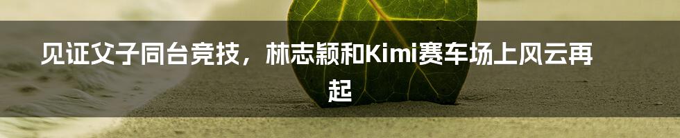 见证父子同台竞技，林志颖和Kimi赛车场上风云再起