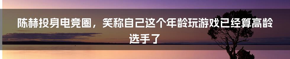 陈赫投身电竞圈，笑称自己这个年龄玩游戏已经算高龄选手了