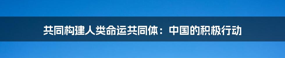 共同构建人类命运共同体：中国的积极行动