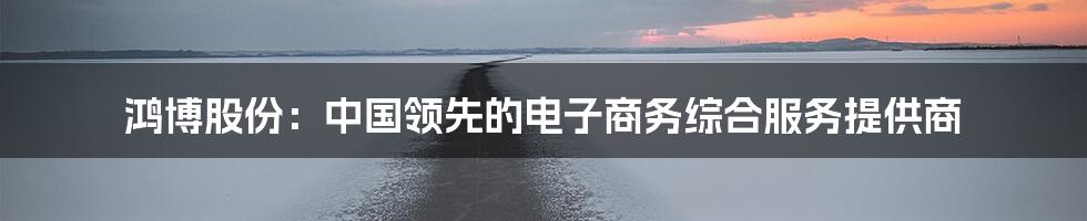 鸿博股份：中国领先的电子商务综合服务提供商