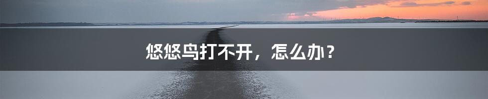 悠悠鸟打不开，怎么办？