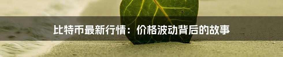 比特币最新行情：价格波动背后的故事