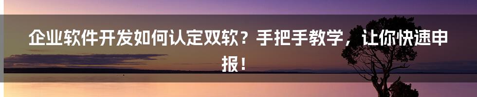 企业软件开发如何认定双软？手把手教学，让你快速申报！