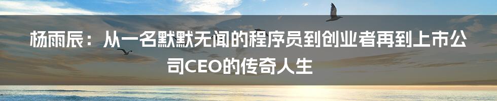 杨雨辰：从一名默默无闻的程序员到创业者再到上市公司CEO的传奇人生