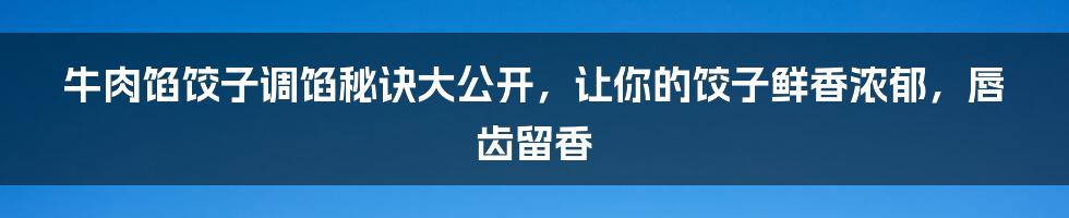 牛肉馅饺子调馅秘诀大公开，让你的饺子鲜香浓郁，唇齿留香