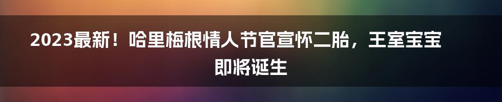 2023最新！哈里梅根情人节官宣怀二胎，王室宝宝即将诞生