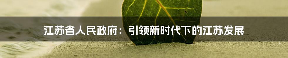 江苏省人民政府：引领新时代下的江苏发展