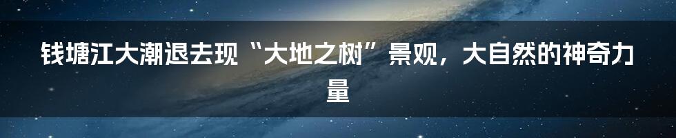 钱塘江大潮退去现“大地之树”景观，大自然的神奇力量