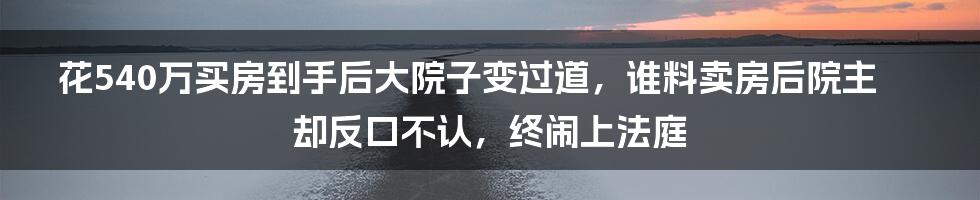 花540万买房到手后大院子变过道，谁料卖房后院主却反口不认，终闹上法庭