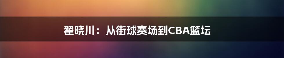 翟晓川：从街球赛场到CBA篮坛