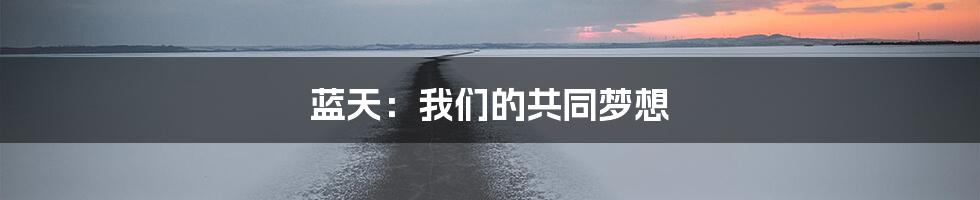 蓝天：我们的共同梦想