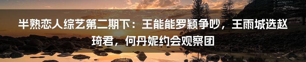 半熟恋人综艺第二期下：王能能罗颖争吵，王雨城选赵琦君，何丹妮约会观察团