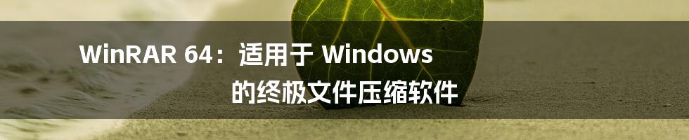 WinRAR 64：适用于 Windows 的终极文件压缩软件