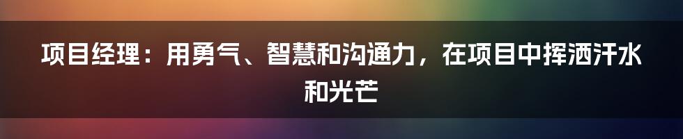 项目经理：用勇气、智慧和沟通力，在项目中挥洒汗水和光芒