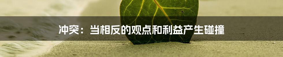 冲突：当相反的观点和利益产生碰撞