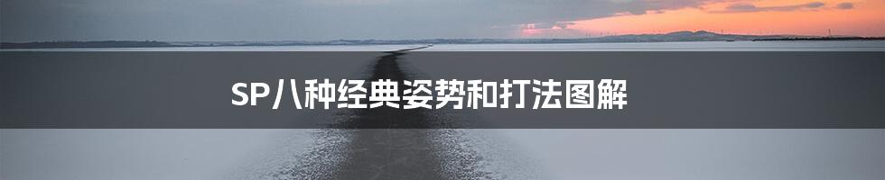 SP八种经典姿势和打法图解