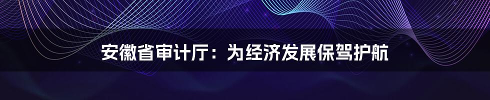 安徽省审计厅：为经济发展保驾护航