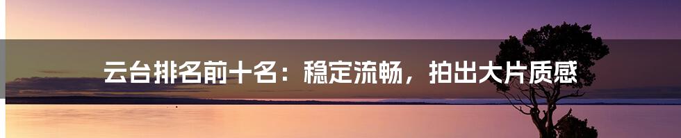 云台排名前十名：稳定流畅，拍出大片质感