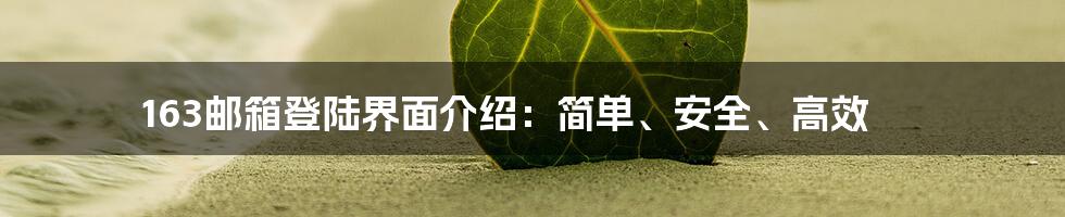 163邮箱登陆界面介绍：简单、安全、高效