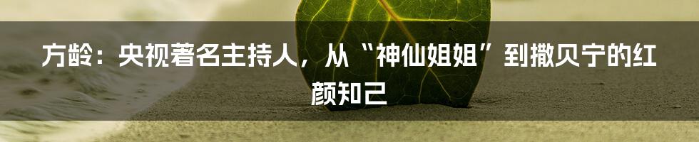 方龄：央视著名主持人，从“神仙姐姐”到撒贝宁的红颜知己