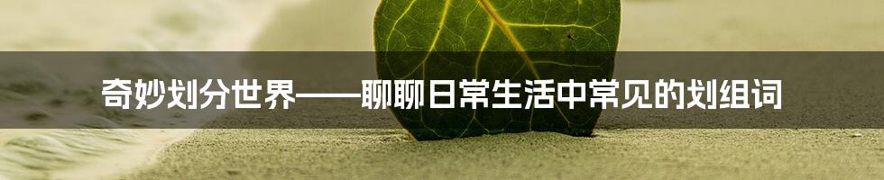 奇妙划分世界——聊聊日常生活中常见的划组词