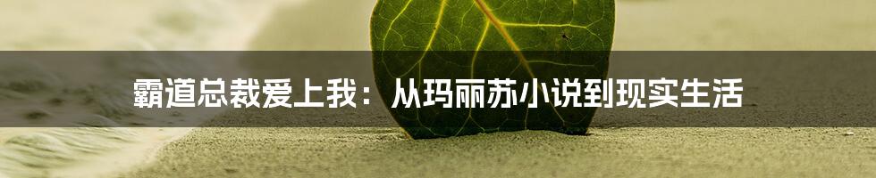 霸道总裁爱上我：从玛丽苏小说到现实生活