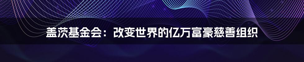 盖茨基金会：改变世界的亿万富豪慈善组织