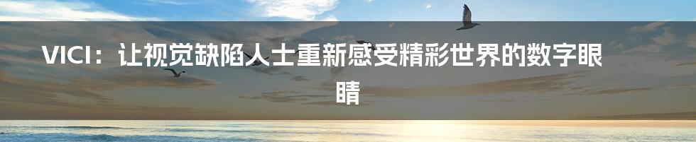 VICI：让视觉缺陷人士重新感受精彩世界的数字眼睛