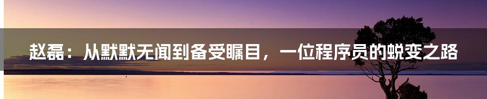 赵磊：从默默无闻到备受瞩目，一位程序员的蜕变之路