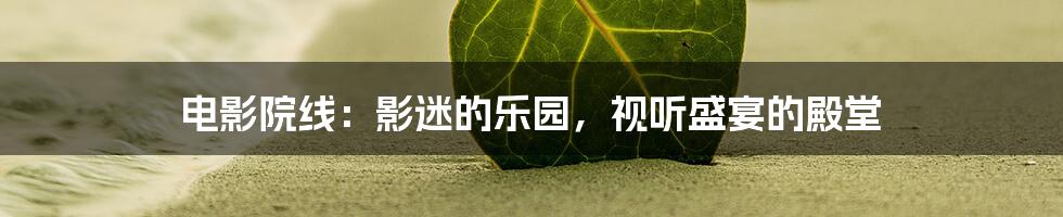 电影院线：影迷的乐园，视听盛宴的殿堂