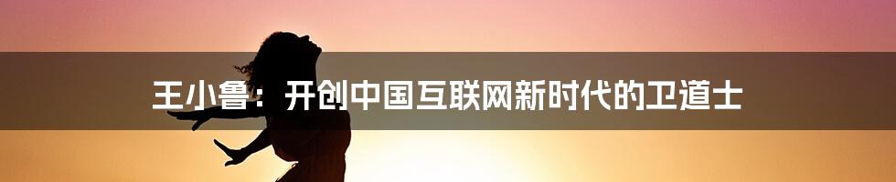 王小鲁：开创中国互联网新时代的卫道士