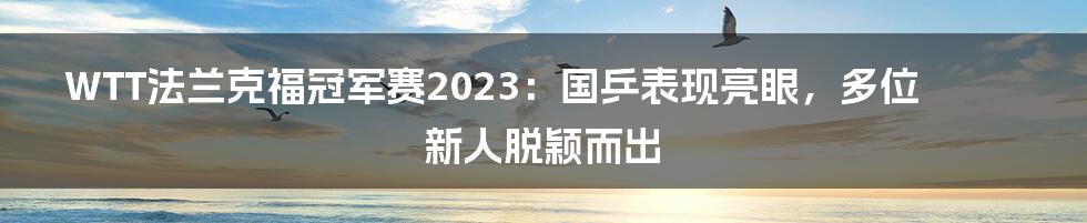 WTT法兰克福冠军赛2023：国乒表现亮眼，多位新人脱颖而出