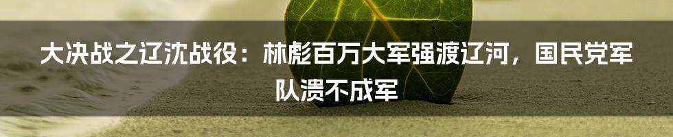 大决战之辽沈战役：林彪百万大军强渡辽河，国民党军队溃不成军