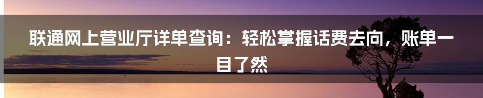 联通网上营业厅详单查询：轻松掌握话费去向，账单一目了然