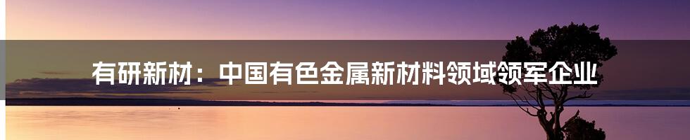 有研新材：中国有色金属新材料领域领军企业