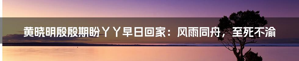 黄晓明殷殷期盼丫丫早日回家：风雨同舟，至死不渝