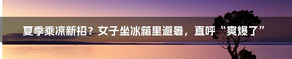 夏季乘凉新招？女子坐冰箱里避暑，直呼“爽爆了”