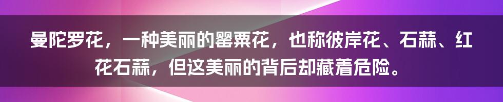 曼陀罗花，一种美丽的罂粟花，也称彼岸花、石蒜、红花石蒜，但这美丽的背后却藏着危险。