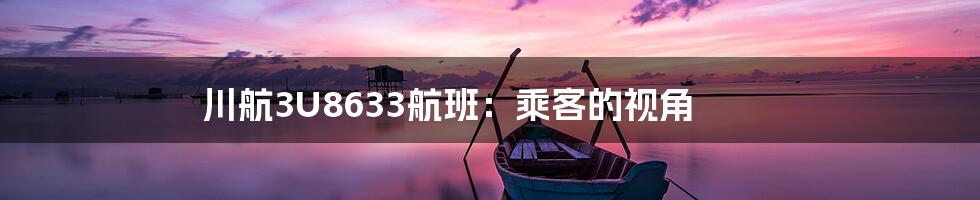 川航3U8633航班：乘客的视角