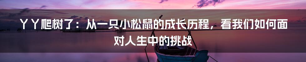 丫丫爬树了：从一只小松鼠的成长历程，看我们如何面对人生中的挑战