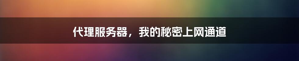 代理服务器，我的秘密上网通道