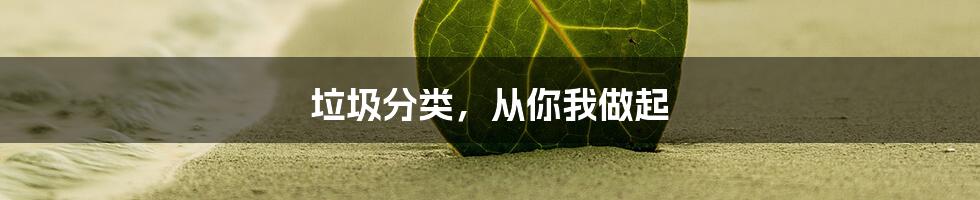 垃圾分类，从你我做起