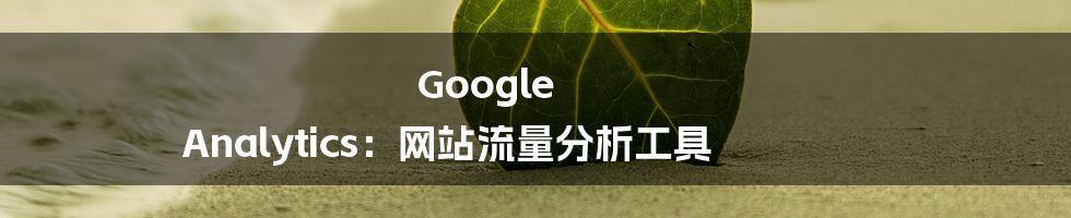 Google Analytics：网站流量分析工具