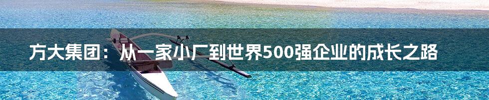 方大集团：从一家小厂到世界500强企业的成长之路