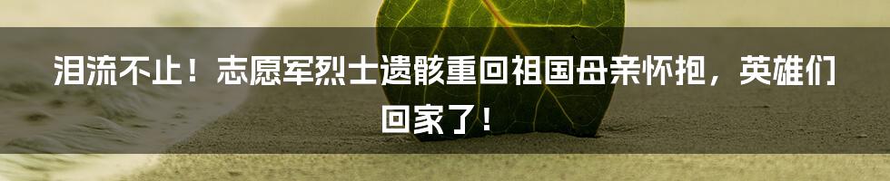 泪流不止！志愿军烈士遗骸重回祖国母亲怀抱，英雄们回家了！