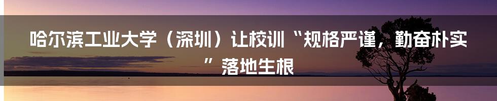 哈尔滨工业大学（深圳）让校训“规格严谨，勤奋朴实”落地生根